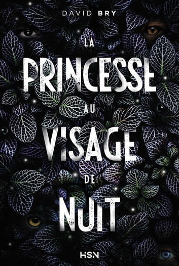 PDF Extrait 'La Princesse au visage de nuit' de David Bry